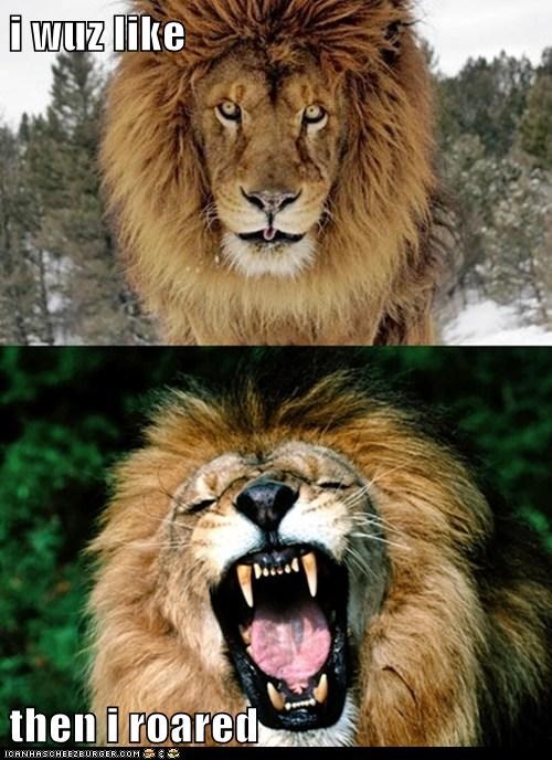 i wuz like  then i roared