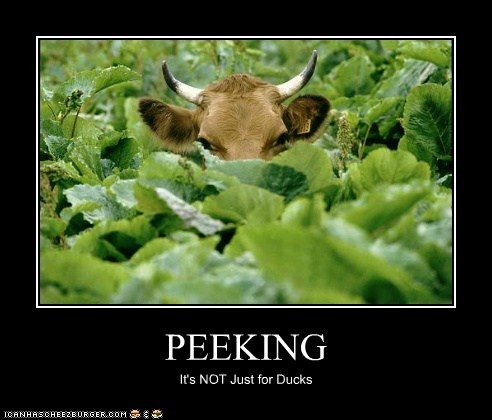 Peeking