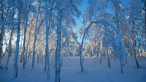 Snowfall in Kiruna, Sweden