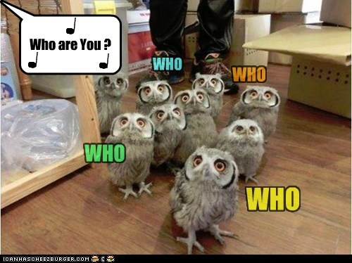The Hooter Choir