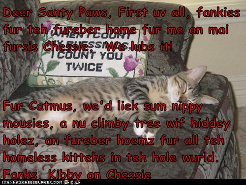 Deer Santy Paws, First uv all, fankies fur teh fureber home fur me an mai fursis Chessie.  We lubs it!  Fur Catmus, we'd liek sum nippy mousies, a nu climby tree wif hiddey holez, an fureber hoemz fur all teh homeless kittehs in teh hole wurld.  Fanks, Ki
