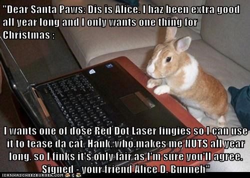 "Dear Santa Paws: Dis is Alice. I haz been extra good all year long and I only wants one thing for Christmas :  I wants one of dose Red Dot Laser fingies so I can use it to tease da cat, Hank, who.makes me NUTS all year long, so I finks it's only fair as 