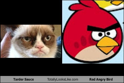 Tarder Sauce Totally Looks Like Red Angry Bird