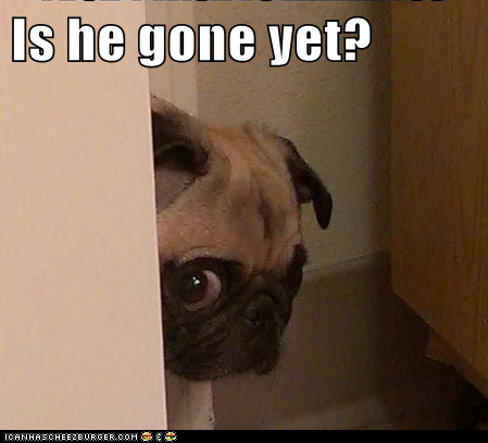 Is he gone yet?