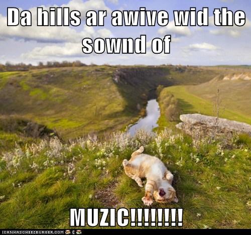 Da hills ar awive wid the sownd of  MUZIC!!!!!!!!