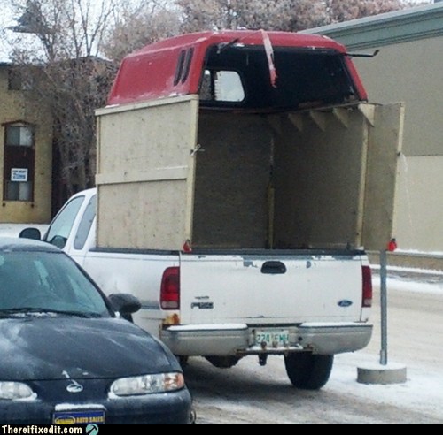 Needs Moar Canopy