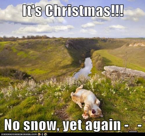 It's Christmas!!!  No snow, yet again -_-