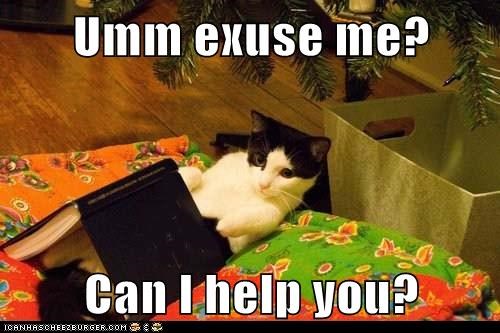 Umm exuse me?  Can I help you?