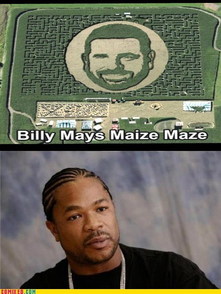 Xzibit Is Simply Amazed
