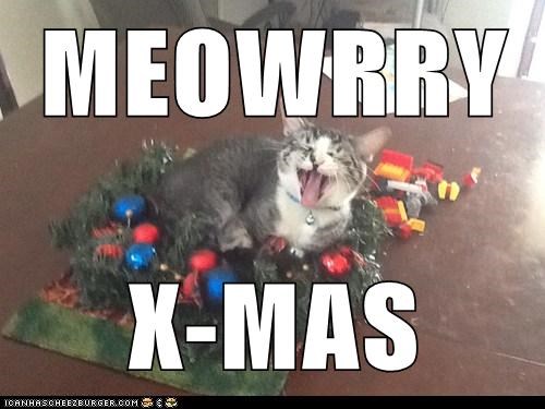 MEOWRRY  X-MAS