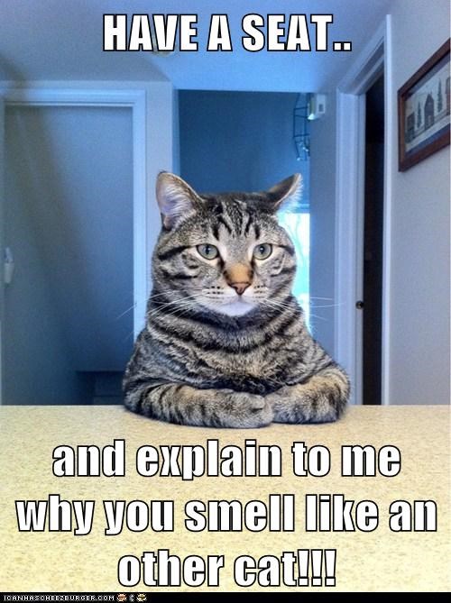 HAVE A SEAT..  and explain to me why you smell like an other cat!!!
