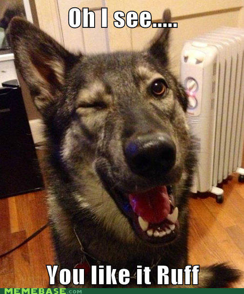 Pickup Pup Knows How You Like It