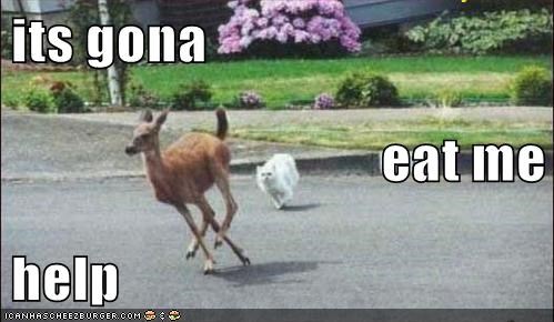 its gona eat me  help