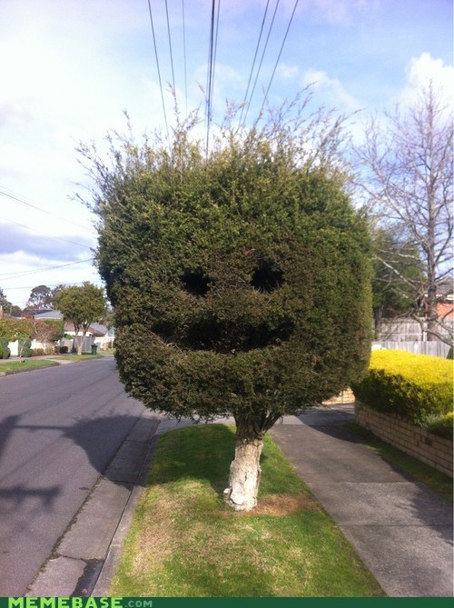 Happy Bush is Sappy
