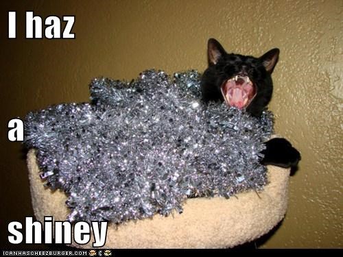 I haz a  shiney