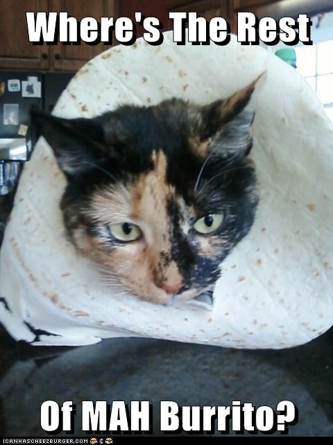 Where's The Rest  Of MAH Burrito?