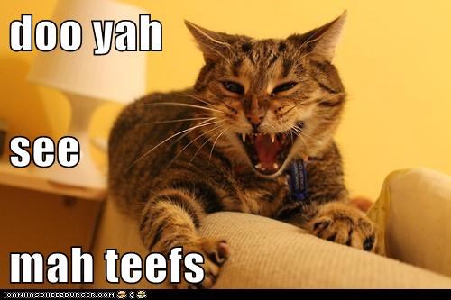 doo yah see mah teefs