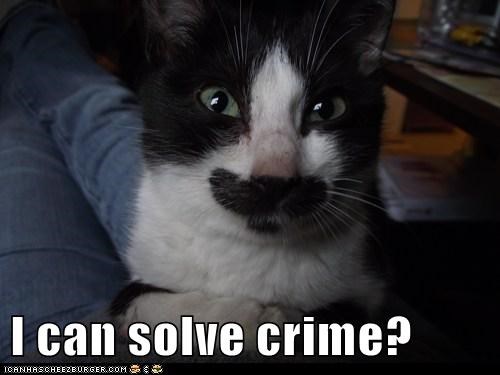 I can solve crime?
