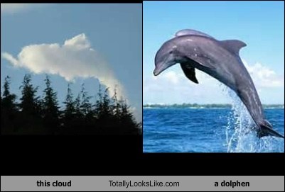 This Cloud Totally Looks Like a Dolphin