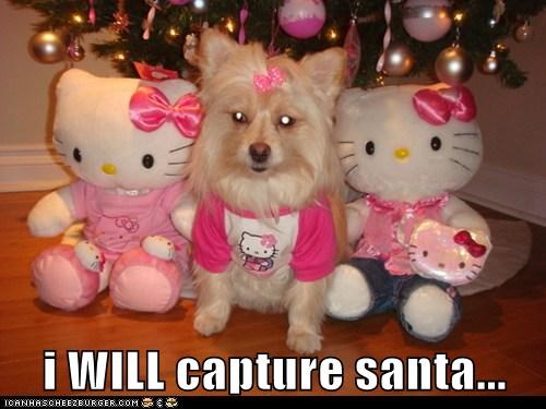 i WILL capture santa...