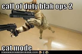 call of duty blak ops 2  cat mode