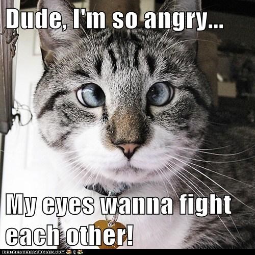 Dude, I'm so angry...  My eyes wanna fight each other!