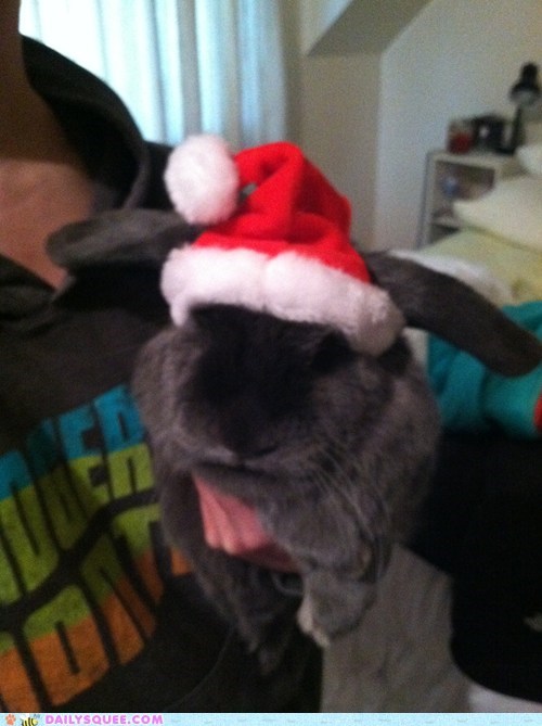 Holiday Reader Squee: Bunday Santa