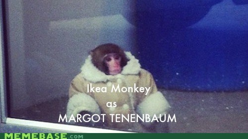 Wes Anderson's First Choice