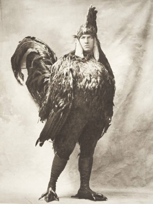 They Always Called Me a Big Chicken... Well Who's Laughing Now