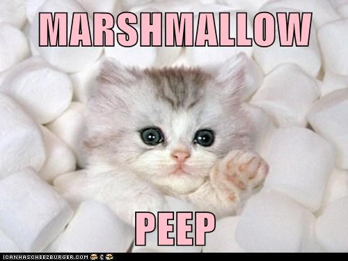 MARSHMALLOW  PEEP