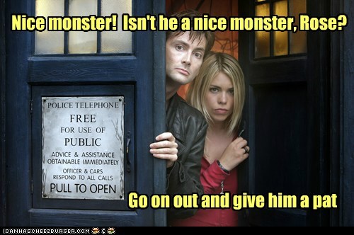 Why Timelords always travel wih a companion...