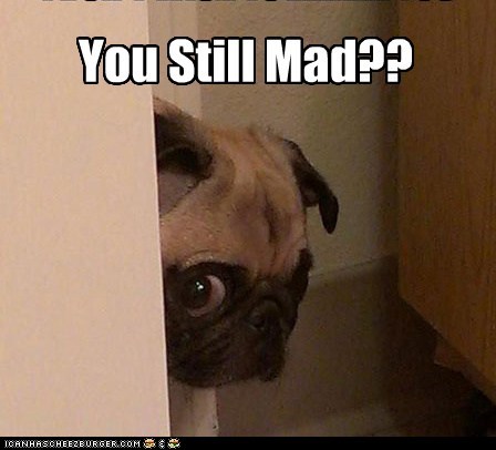You Still Mad??