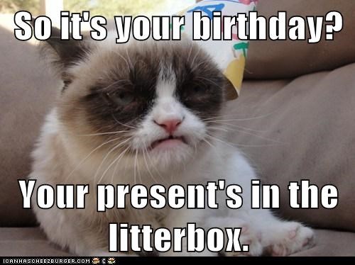 So it's your birthday?  Your present's in the litterbox.