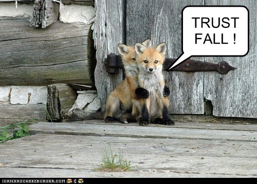 TRUST FALL !