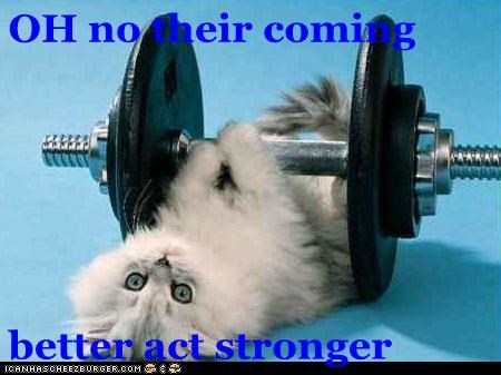 OH no their coming  better act stronger