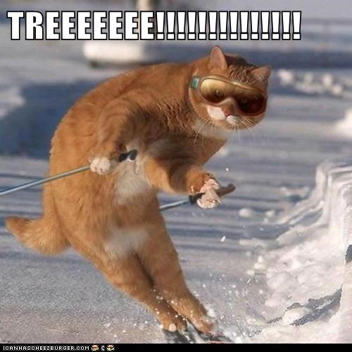 TREEEEEEE!!!!!!!!!!!!!!
