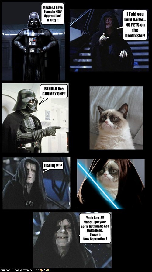 A GRUMPY SITH, you WILL BECOME!