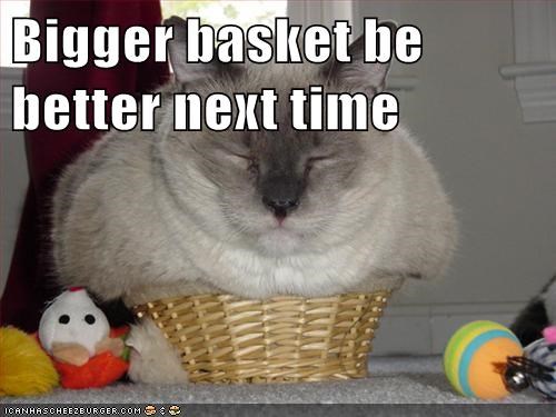 Bigger basket be better next time