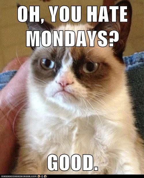 OH, YOU HATE MONDAYS?  GOOD.