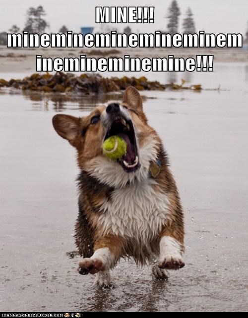 MINE!!! mineminemineminemineminemineminemine!!!