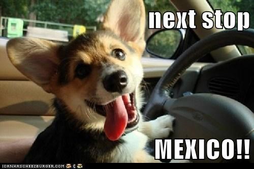 next stop  MEXICO!!