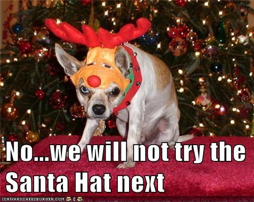 No...we will not try the Santa Hat next