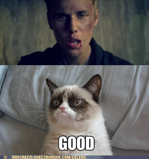 Justin Bieber Get's The Grumpy Cat Treatment