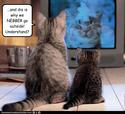 ...and dis is why we NEBBER go outside! Understand?