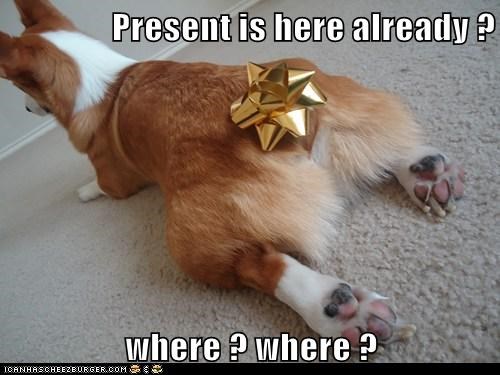 Present is here already ?   where ? where ?