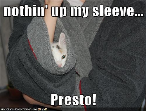 nothin' up my sleeve...  Presto!