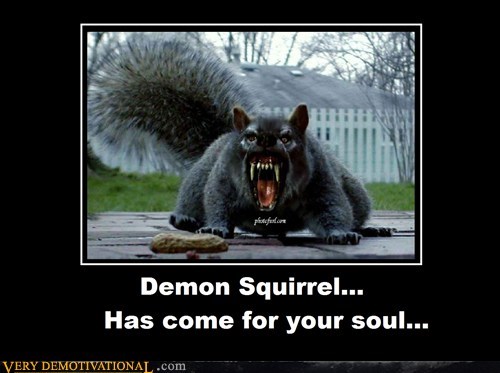 DEMON SQUIRREL