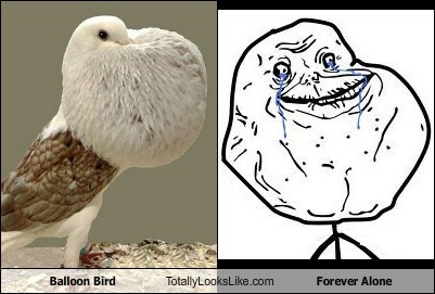 Balloon Bird Totally Looks Like Forever Alone