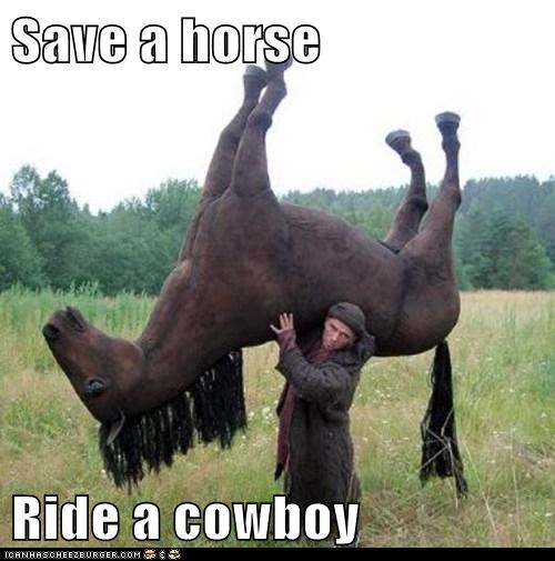 Save a horse  Ride a cowboy