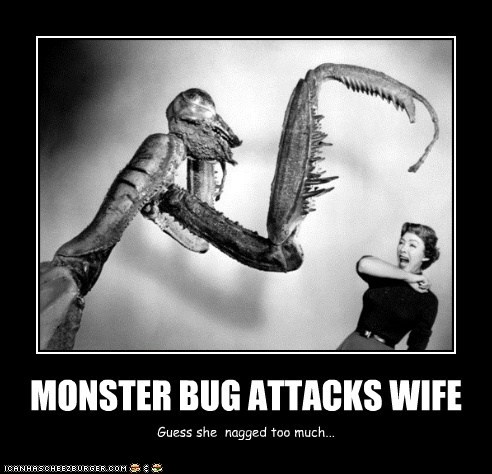 MONSTER BUG ATTACKS WIFE